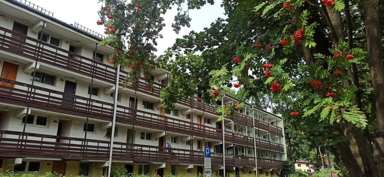 Retrospekcja - Apartament W Centrum زاكوباني المظهر الخارجي الصورة